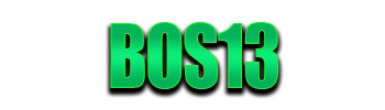 Logo BOS13